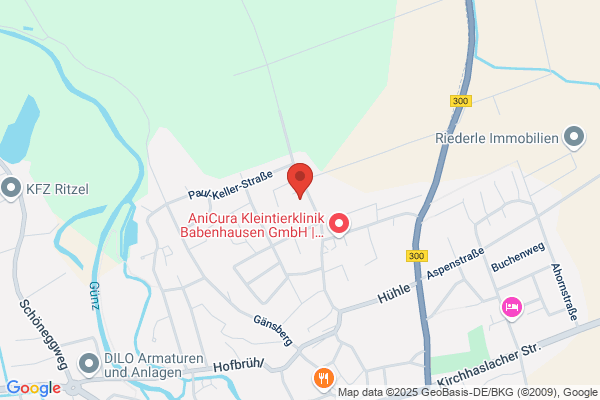 S. Schöpf