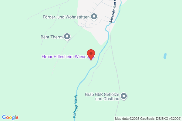 Hillesheim