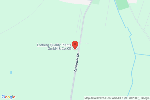 Lorberg Quality Plants GmbH & Co. KG