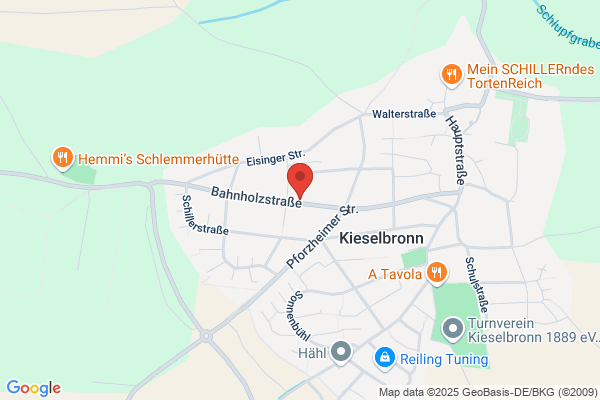 BMS-Reisen