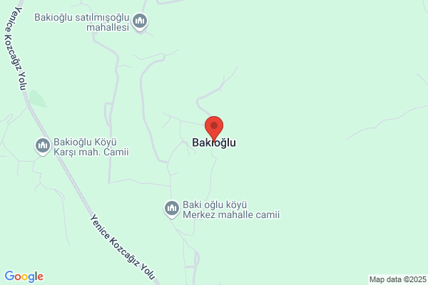 Dipl.-Modedesignerin(FH)  Bakioglu