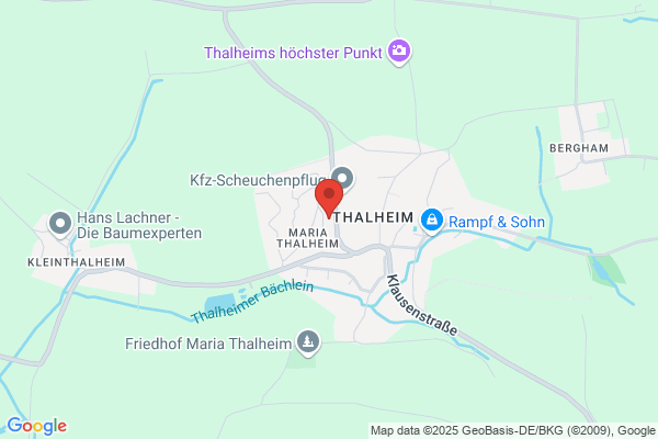 Der Thalheimer Ofenbauer
