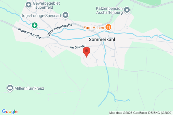 Peter Dorn