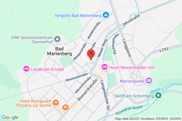 W. P. S. GmbH