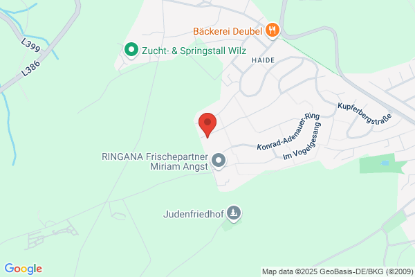 BOK -Visualisierungen