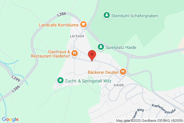 Zur Pfalz