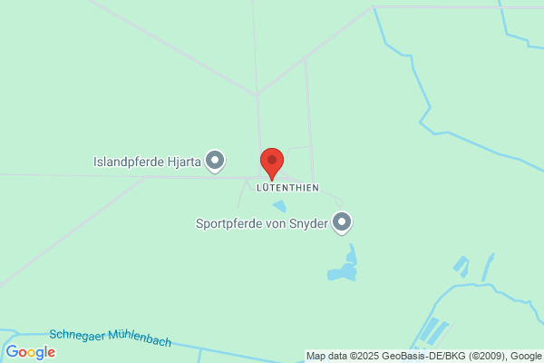 Hof Dykenfhamm S.E.N.