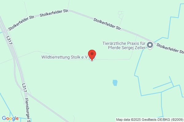 Förderverein zur Wildtierrettung und Habitatentwicklung Stolk e.V.