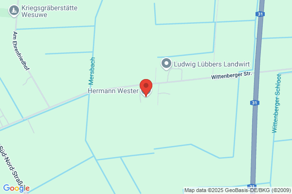 Hermann Wester