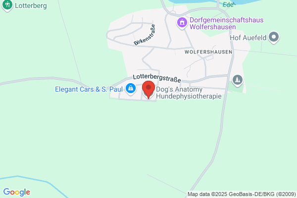 Dogs4Motion Hundephysiotherapie & Hundeosteopathie mit Unterwasserlaufband