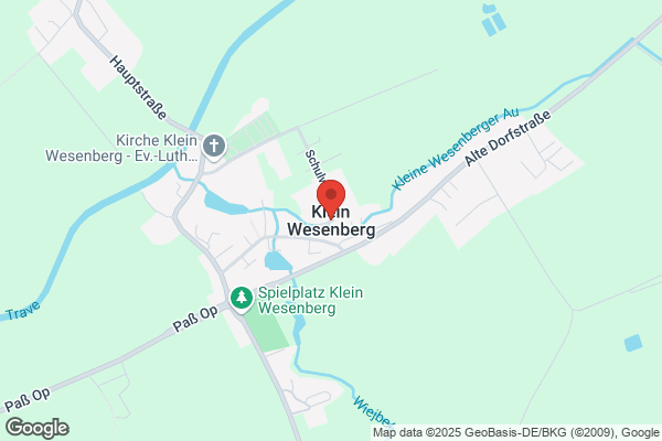 Heinz Treder