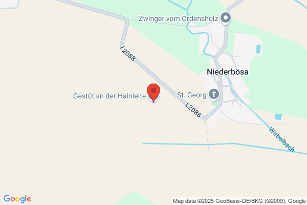 Hengststation Bodethal Lutz Mey