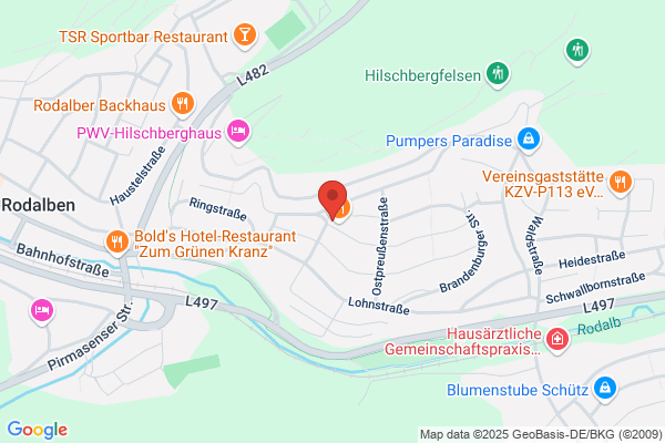 Flughafenzubringer Van Service