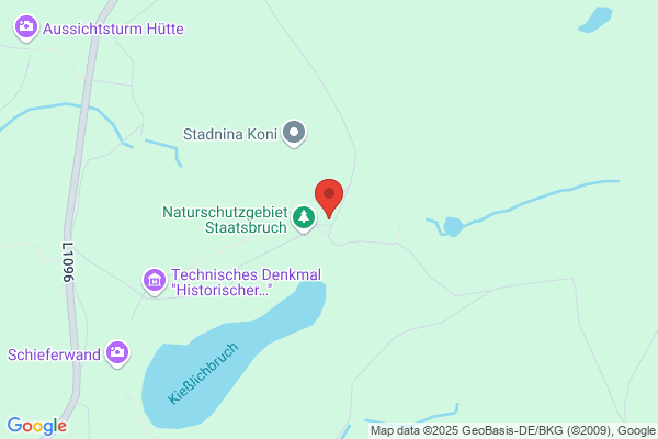 Hotel Schieferpark Inh. Plewnia Sven