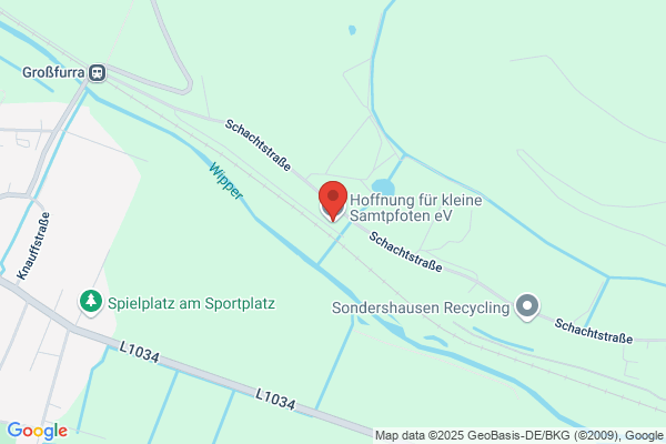 Tierschutzverein Sondershausene.V. Gnadenhof