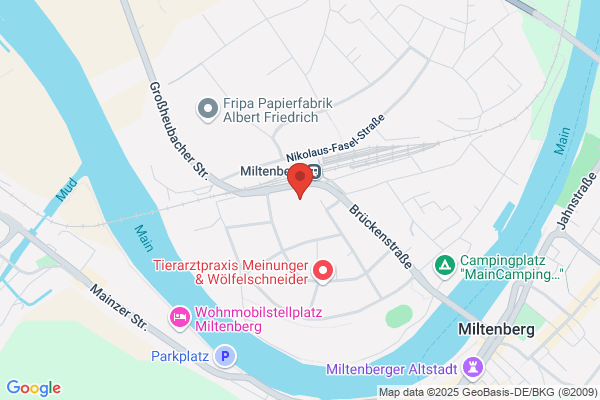 Physiotherapie Link