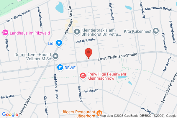 Immobilienmakler für