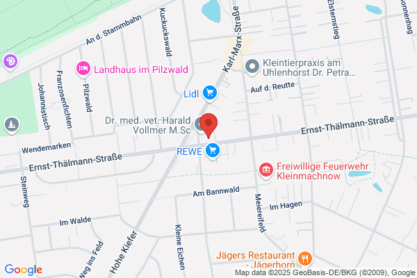 Ina Thätner