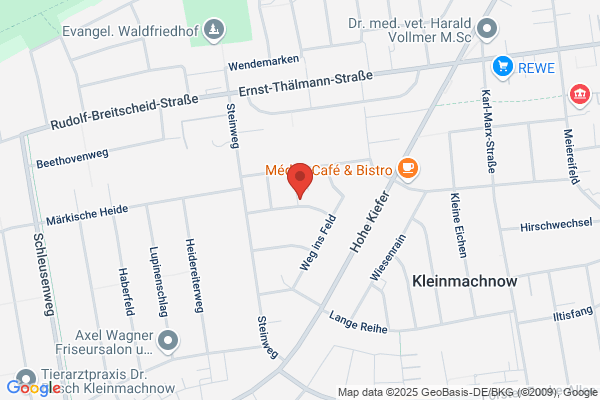 Heidrun Lange