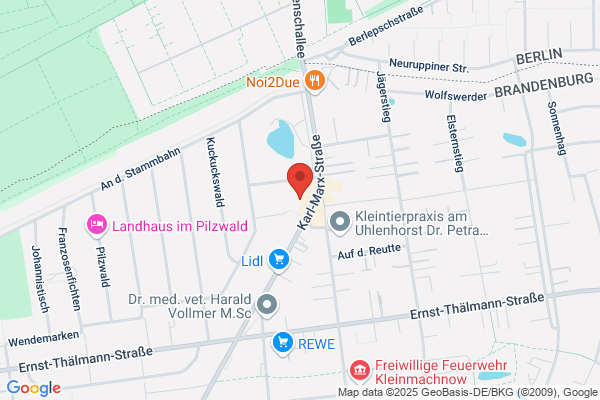 Pflasterarbeiten, Pflanzung, Teichbau