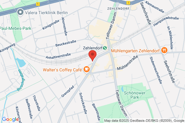 Alice Franken