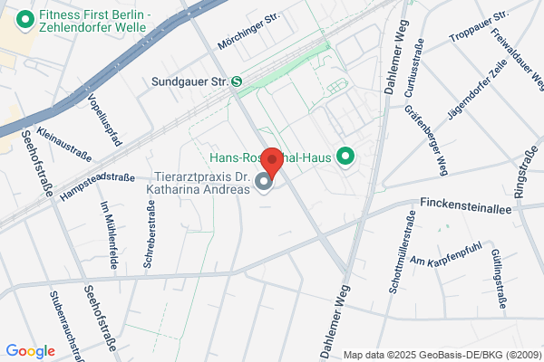 Witzel