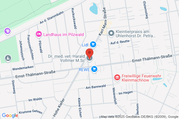 FESTA GmbH