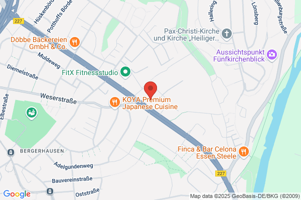 APEX GmbH Schädlingsbekämpfung