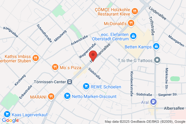 P. Vrolyks, V. Maas