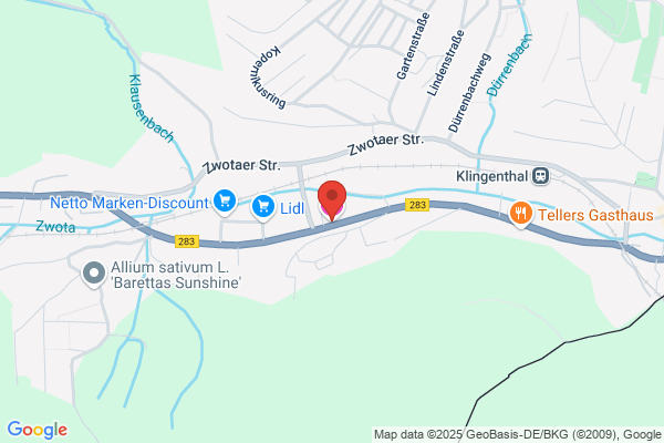 Hotel & Gasthof Zum Döhlerwald