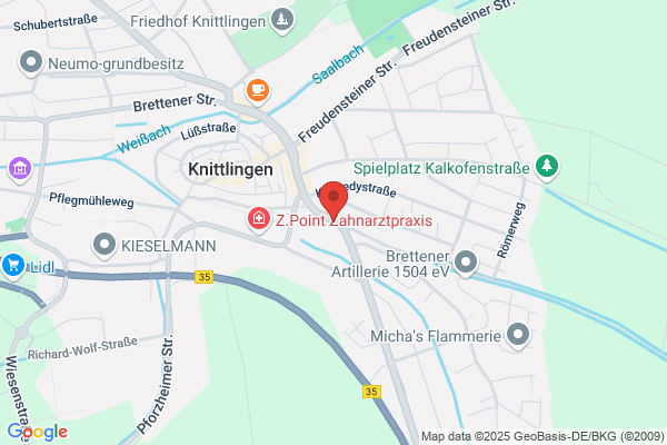 3 Schweizer Freunde