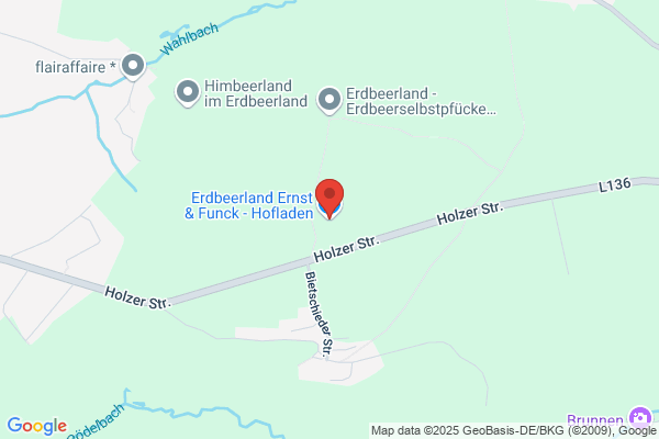 Erdbeerland Ernst
