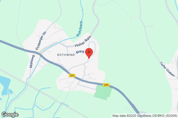 Ottilie Hohner, Theo Hohner