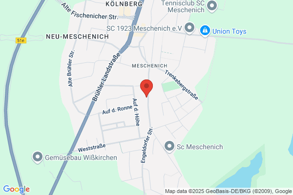 Pfingstner Schornstein Sanierung