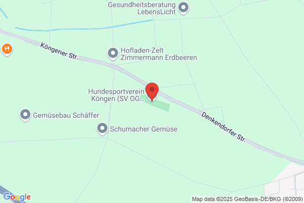 Hundesportverein Köngen (SV OG Köngen)