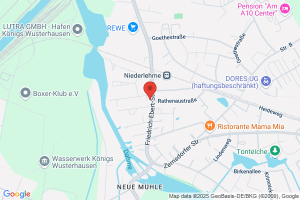 Linden-