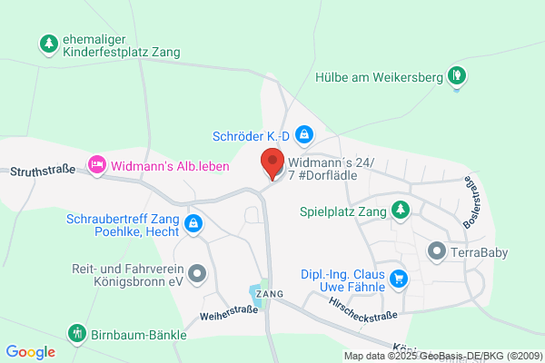 Martin Bystron