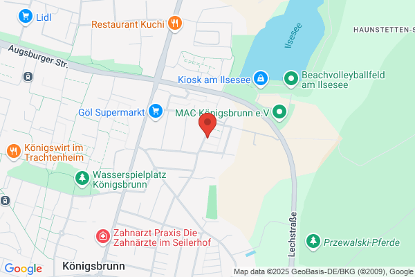 Zentral Dipl. Ingenieur Serhii Dobrovolskyi