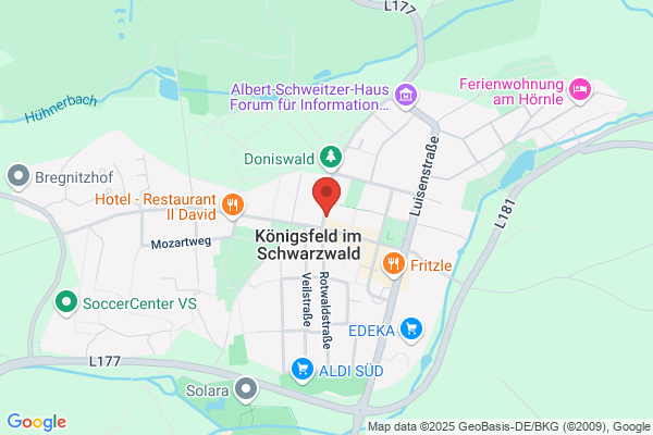 Heisler Feodora Doktorhaus-Luisenruhe