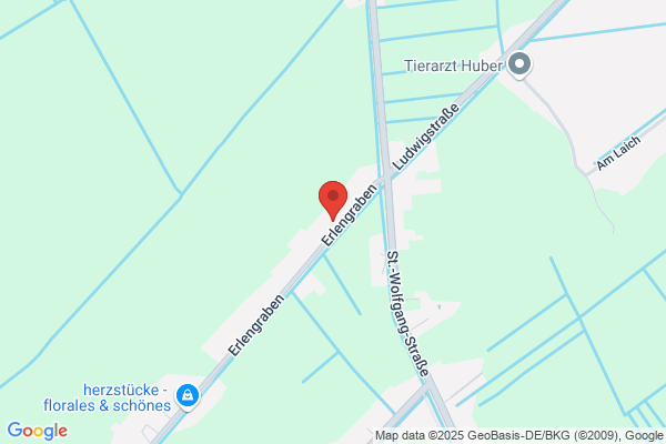 Petra Rebhan