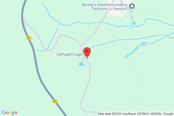 Geflügel Engel
