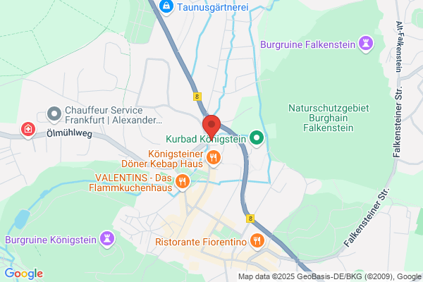 Hundesalon Königsteiner Antonia Puchal