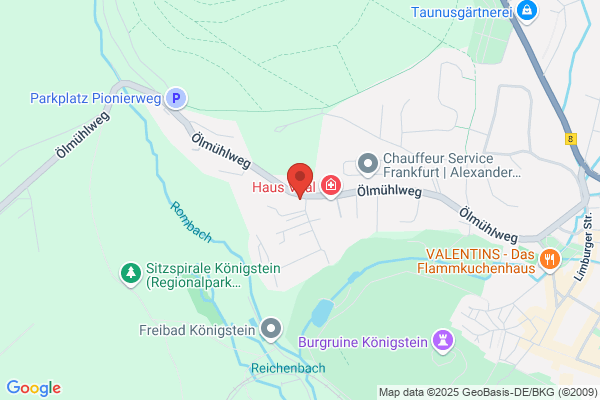 Businessconsulting GmbH Hartz