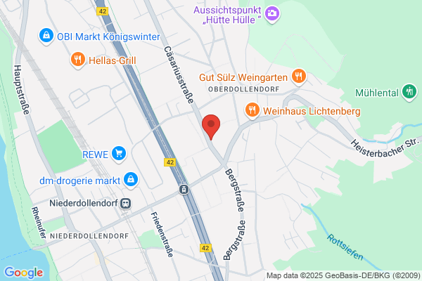 Winfried Penno · EDI Consulting
