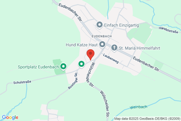 Haus der Musik - Eudenbach