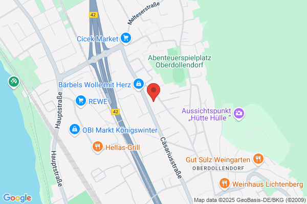 Werner Link