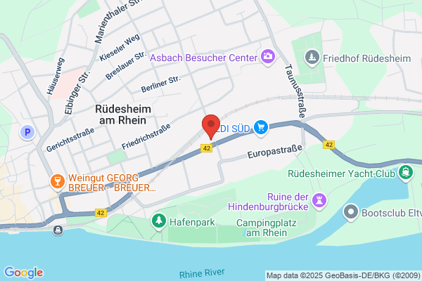 Bendor Reinigung am Rhein