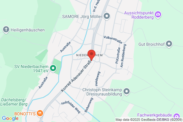 Zur Grünen Gans