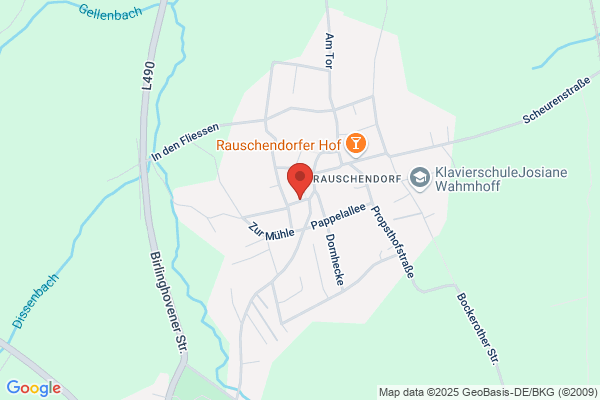 Nellessen Ernst Feedback-D.B.