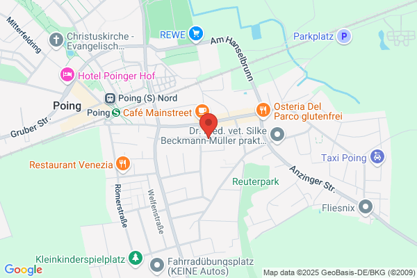 ProRealis Projektrealisierung